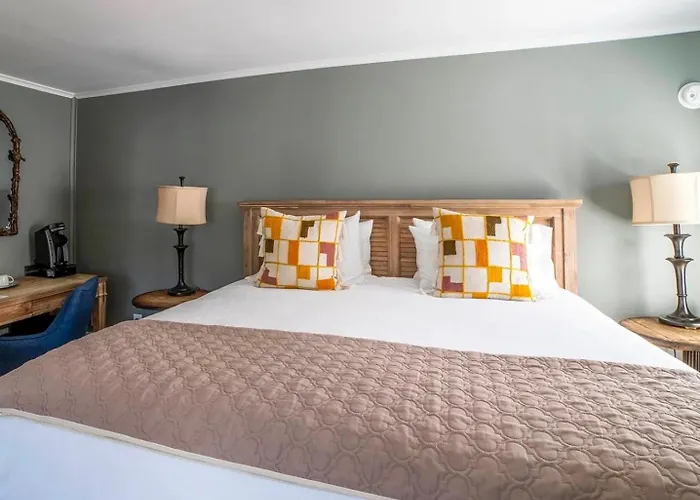 Hellbender Bed & Beverage